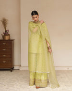 Avocado Green